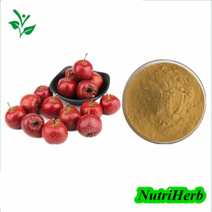 Natural Hawthorn Leaf Extract Maslinic Acid Powder