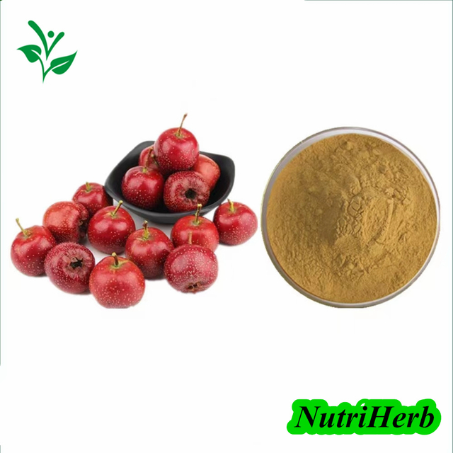 Natural Hawthorn Leaf Extract Maslinic Acid Powder