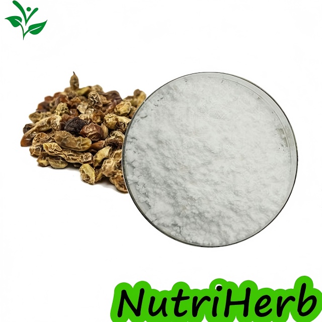 Natural Sophora Japonica Extract Sophoricoside Powder