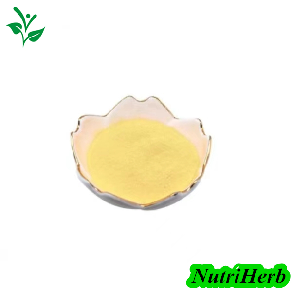 Natural Sophora Japonica Extract Luteolin 98% Powder