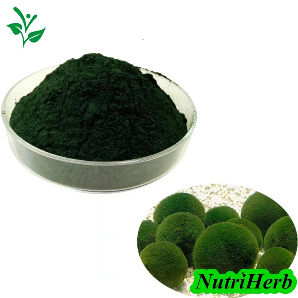 Chlorella-powder