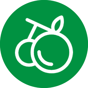 Fruit-Vegetable Powder