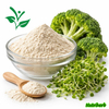 Natural Broccoli Sprout Extract Sulforaphane Powder 
