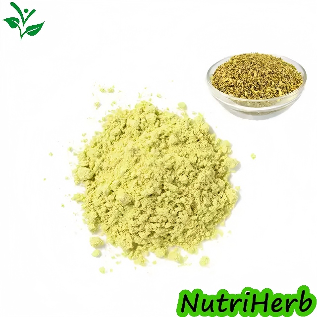 Natural Sophora Japonica Extract Quercetin Powder 