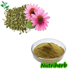 Echinacea Purpurea Extract Polyphenol Chicoric Acid Powder