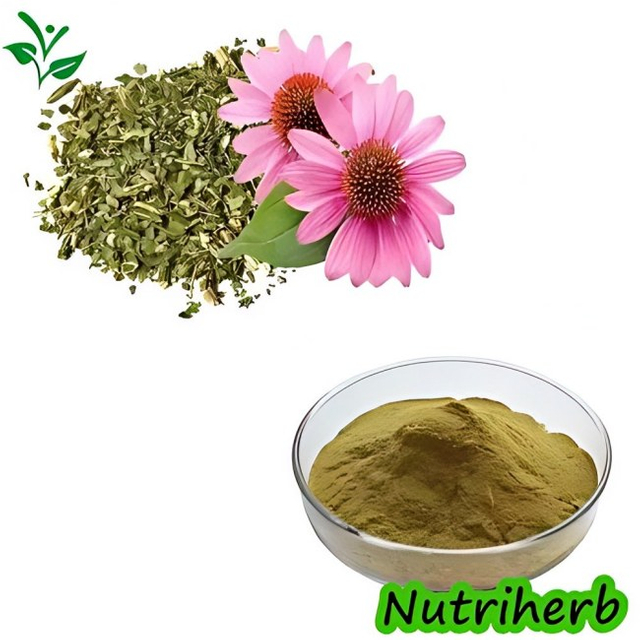 Echinacea Purpurea Extract Polyphenol Chicoric Acid Powder