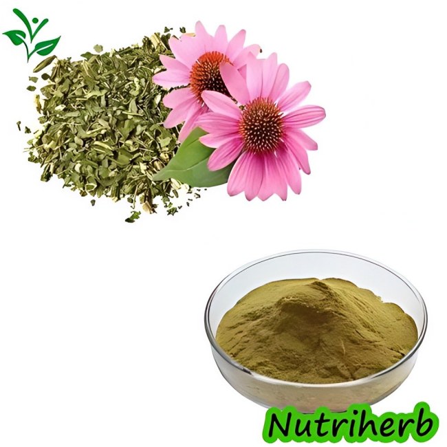 Echinacea Purpurea Extract Polyphenol Chicoric Acid Powder
