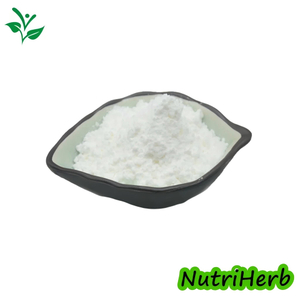 Pure 98% L-Carnitine Powder 