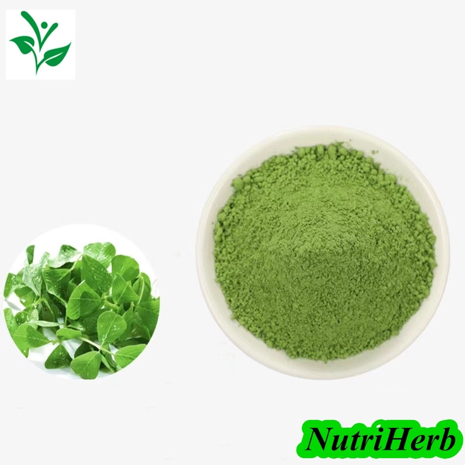 Alfalfa-Powder