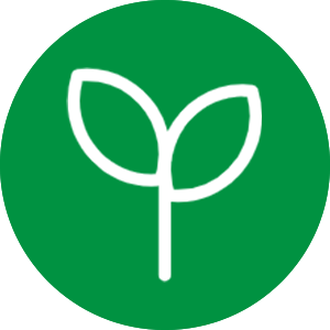 Plant Extract