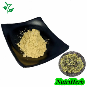 Lichen Extract Usnea Extract Usnic Acid Powder 