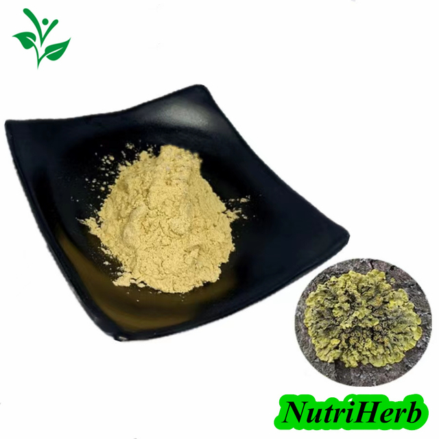 Lichen Extract Usnea Extract Usnic Acid Powder 