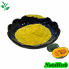 Organic Dehydrated Pumpkin Powder Pumpkin Protein