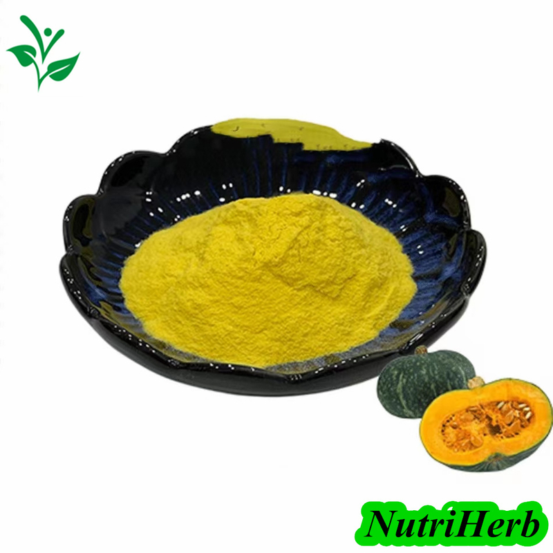 Organic Dehydrated Pumpkin Powder Pumpkin Protein