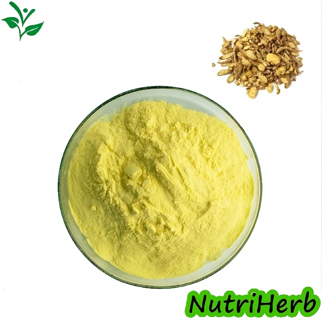 Natural Baical Skullcap Root Extract Baicalin Powder