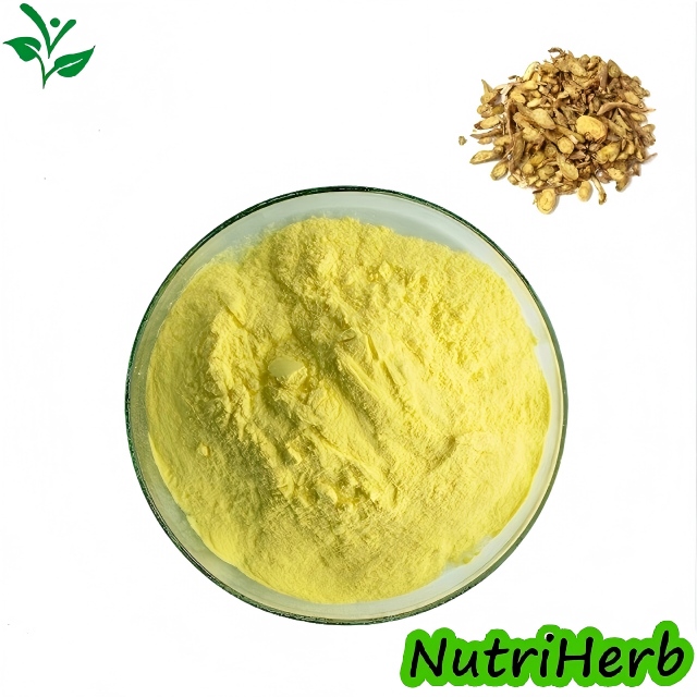 Natural Baical Skullcap Root Extract Baicalin Powder