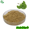 Natural Ginkgo Biloba Extract Ginkgo Flavone Glycosides Powder