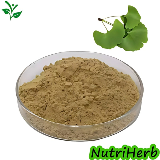 Natural Ginkgo Biloba Extract Ginkgo Flavone Glycosides Powder