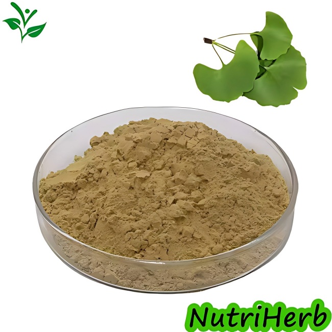 Natural Ginkgo Biloba Extract Ginkgo Flavone Glycosides Powder