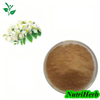 Natural Sophora Japonica Extract Sophoricoside Powder