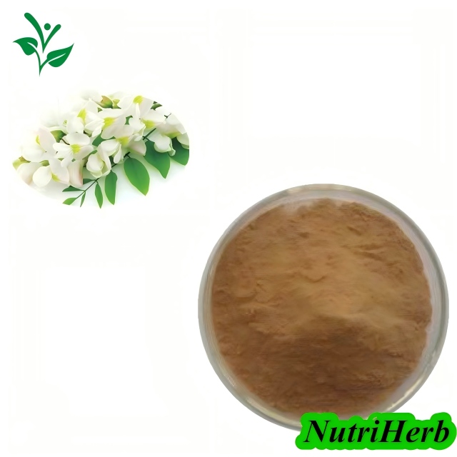Natural Sophora Japonica Extract Sophoricoside Powder