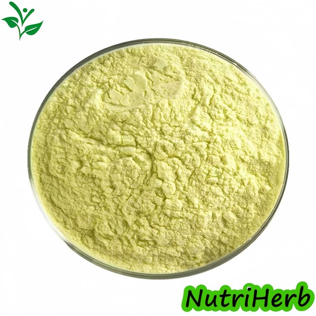 Natural Sophora Japonica Extract Luteolin 98% Powder