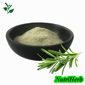 Rosemary Extract Salvia Extract Carnosic Acid Powder 