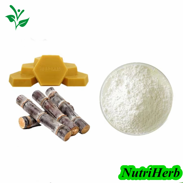 Sugarcane Wax Extract Policosanol Octacosanol Powder