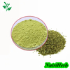 Natural Sophora Japonica Extract Quercetin Powder 