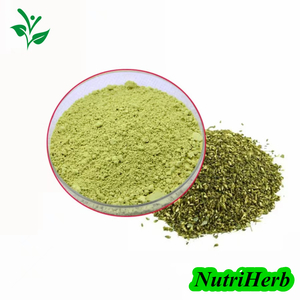 Natural Sophora Japonica Extract Quercetin Powder 