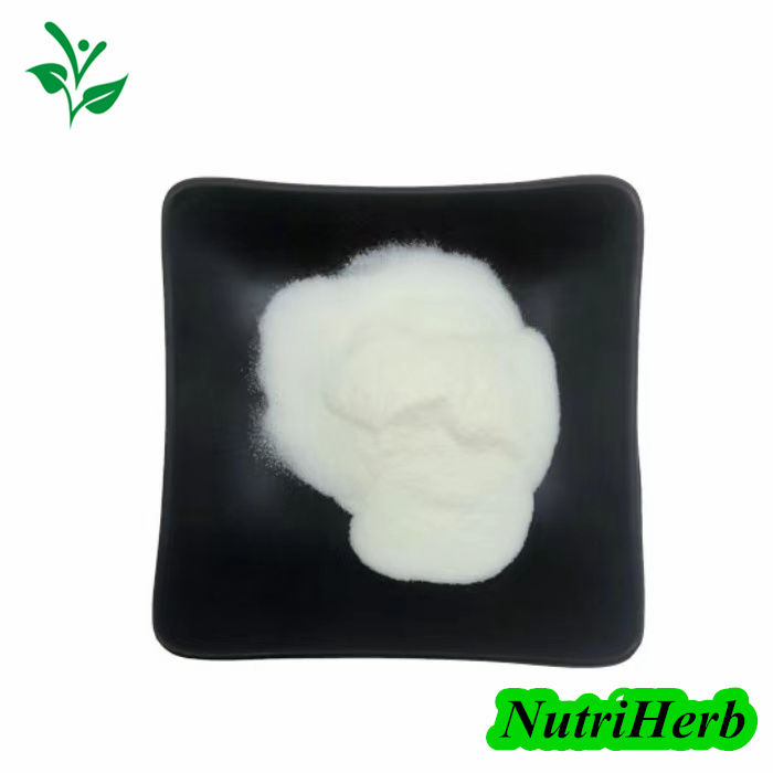 99% L-Glutamic Acid CAS 56-86-0 Powder for Functional Food & Beverage Formulations