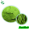 Organic Wheat Grass Juice Powder Wheat Grass Powder for Weight Loss