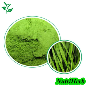 Organic Wheat Grass Juice Powder Wheat Grass Powder for Weight Loss