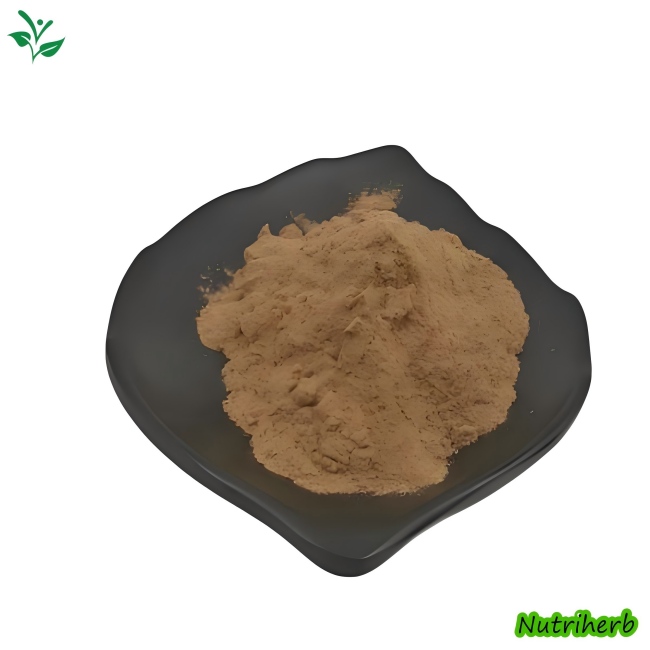 Natural Epimedium Extract Icariin Powder