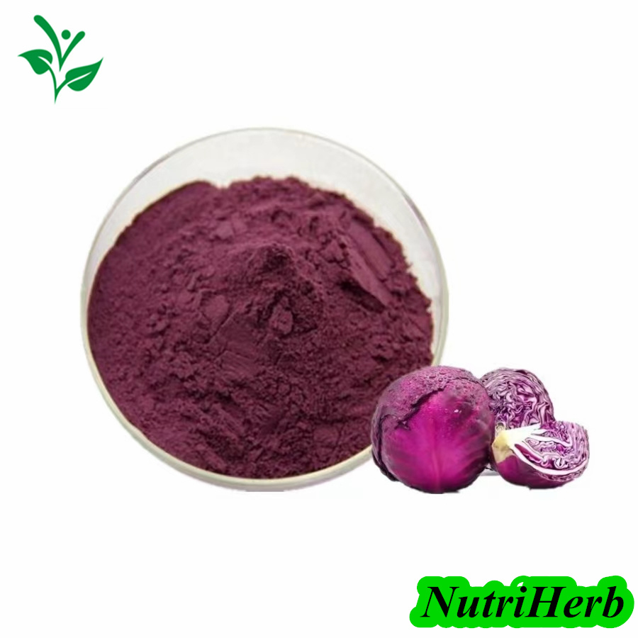 Red Cabbage Color